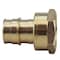 Apollo 3/4 in. Brass PEX-A Barb x 3/4 in. FNPT Female Adapter EPXFA3434 - alternate 5